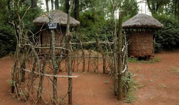 Nairobi National Park, Karen Blixen Museum and other Attractions Combi – 1 Day