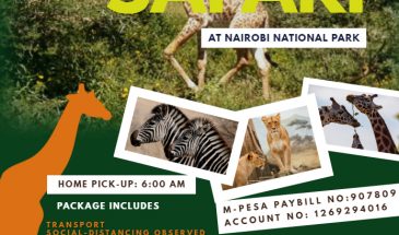 Nairobi National Park Half Day Safari